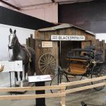 IMG_7424 (May 28, 2024)